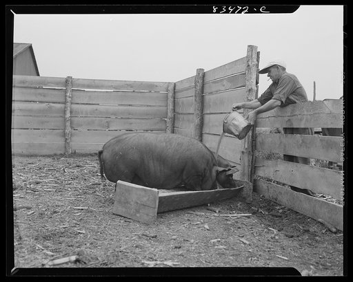 Newport, New Jersey (vicinity). On the John Hanby farm
