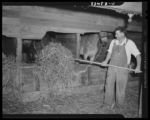 Untitled photo, possibly related to: Newport, New Jersey (vicinity). John Hanby, FSA (Farm Security Administration) client