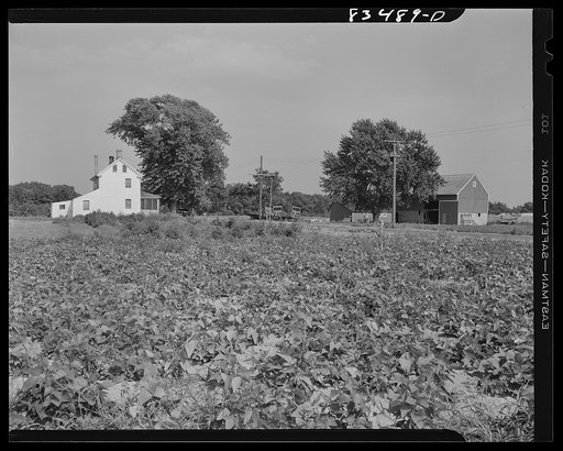 Newport, New Jersey. The Hanby farm