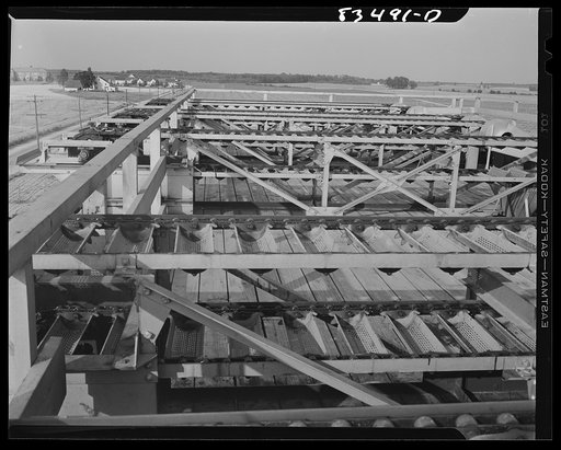 Untitled photo, possibly related to: Bridgeton, New Jersey. Seabrook Farm which extends as far as the eye can see. View from the roof of the packing house