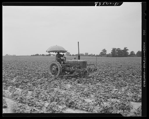 Bridgeton, New Jersey. Seabrook Farms. Cultivating a field