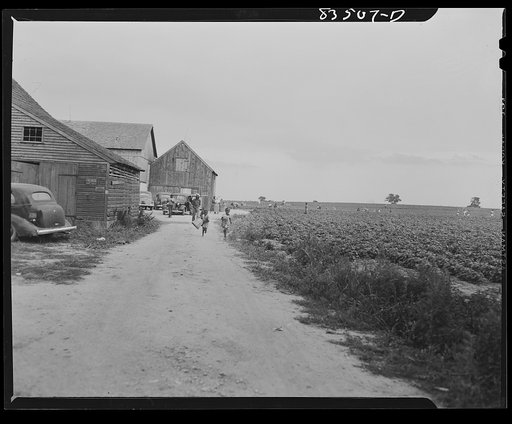 Untitled photo, possibly related to: Bridgeton, New Jersey. Seabrook Farms. Migrants quitting work for the day