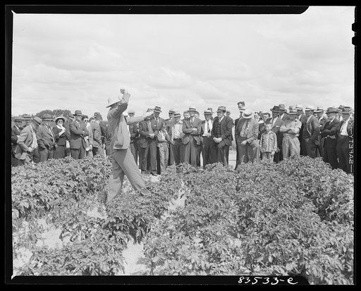 Presque Isle, Maine. State agricultural experimental farm. Lecture on potato blight