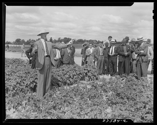 Untitled photo, possibly related to: Presque Isle, Maine. State agricultural experimental farm. Lecture on potato blight