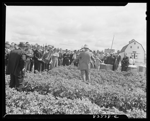 Untitled photo, possibly related to: Presque Isle, Maine. State agricultural experimental farm. Lecture on potato blight