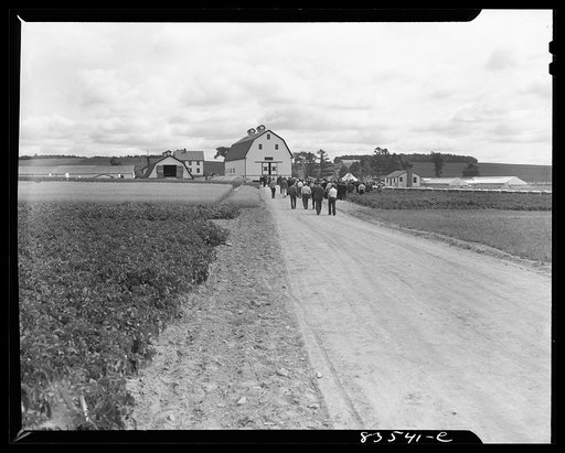 Untitled photo, possibly related to: Presque Isle, Maine. Annual agricultural show at the state experimental farm