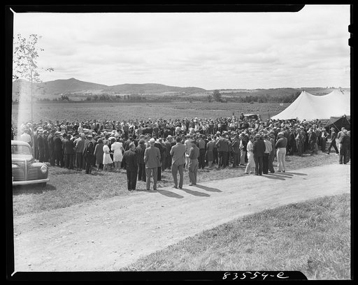 Presque Isle, Maine. Annual agricultural show at the state experimental farm. Baby beef contest and auction