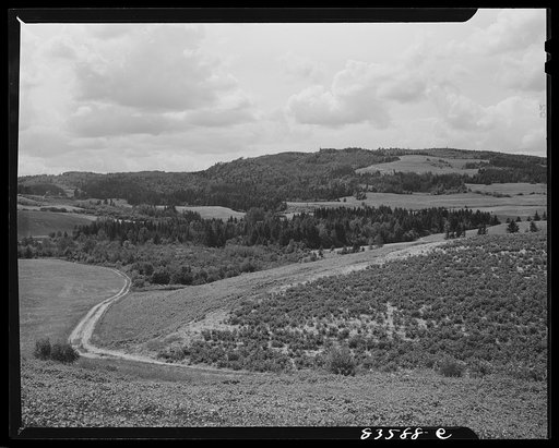 Saint John river valley, Maine. Hill country