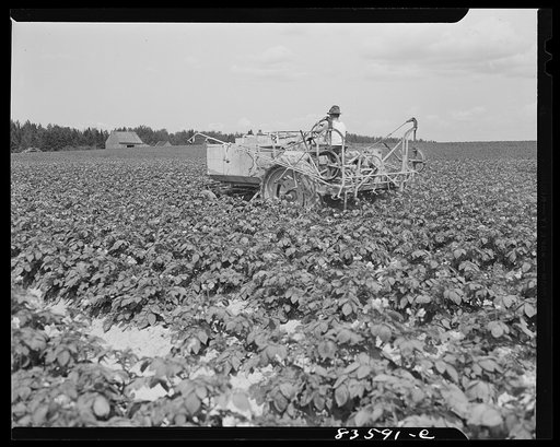 Untitled photo, possibly related to: Aroostook County, Maine. Mechanized sprayer on the land which once belonged to Belonie Dufour and is now owned by Berce and Clark land company