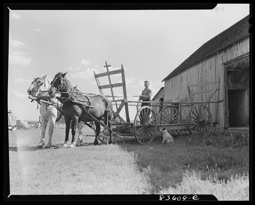 Aroostook County, Maine. Starting out for hay