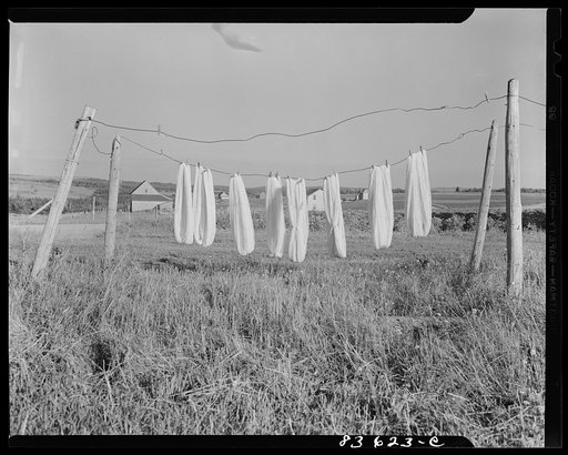 Untitled photo, possibly related to: Van Buren, Maine. Wool airing on line before spinning