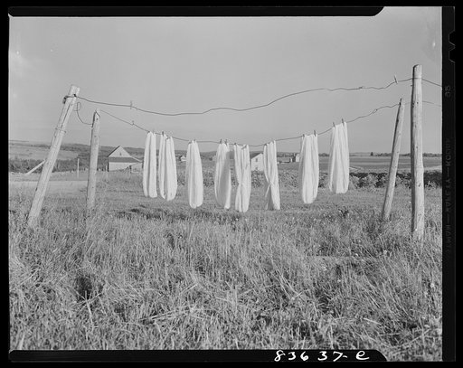 Van Buren, Maine. Wool airing on line before spinning