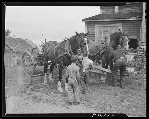 Fort Kent, Maine. (vicinity). Unhitching potato sprayer on the [Leonard] Gagnon farm