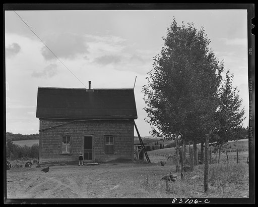 Fort Kent, Maine (vicinity). FSA (Farm Security Administration) financed farm of Edward [i.e. Oneil] Daigle