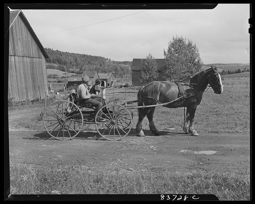 Fort Kent, Maine (vicinity). Picking up the mail