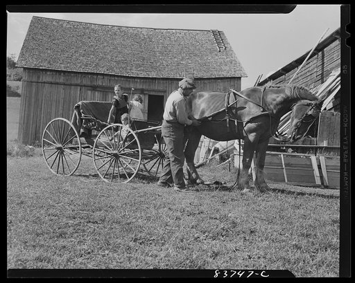 Untitled photo, possibly related to: Fort Kent, Maine (vicinity). Unharnessing the buggy after returning from town