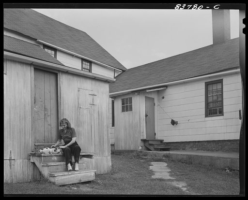 Untitled photo, possibly related to: Windsor Locks, Connecticut (vicinity). Daughter of Polish tobacco farmer