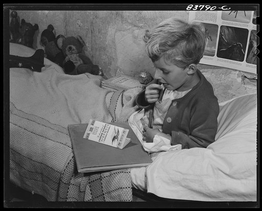 Untitled photo, possibly related to: Hartford, Connecticut (vicinity). Son of Russian sea captain, who makes his living on a farm