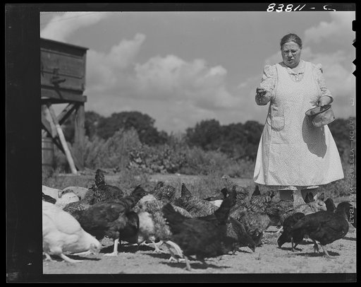 Hartford, Connecticut (vicinity). Polish farmer's wife