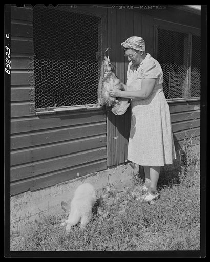 Plainfield, Connecticut (vicinity). Wife of Finnish farmer