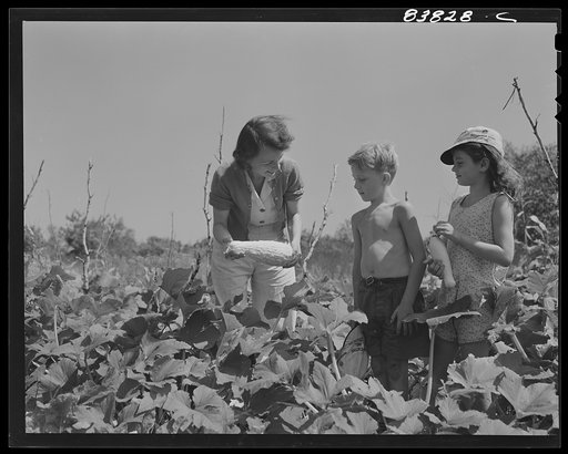 Jewett City, Connecticut (vicinity). Estonian family