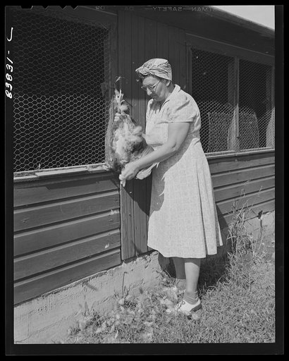 Untitled photo, possibly related to: Plainfield, Connecticut (vicinity). Wife of Finnish farmer