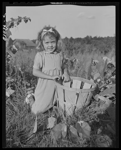 Norwich, Connecticut (vicinity). Daughter of Swedish farmer
