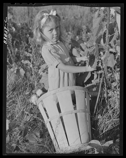 Norwich, Connecticut (vicinity). Daughter of Swedish farmer