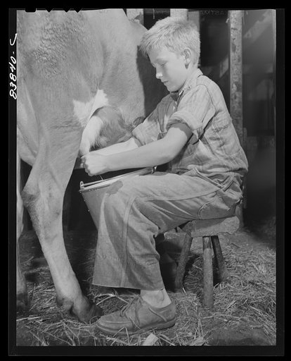 Norwich, Connecticut (vicinity). Son of Swedish farmer