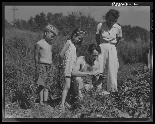 Jewett City, Connecticut (vicinity). Estonian farm family
