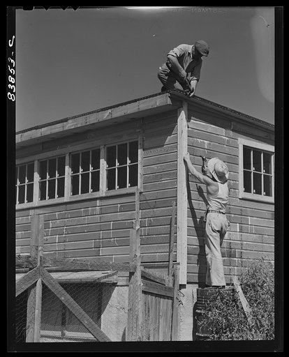 Jewett City, Connecticut (vicinity). Estonian farmer enlarging poultry house. He has a FSA (Farm Security Administration) loan