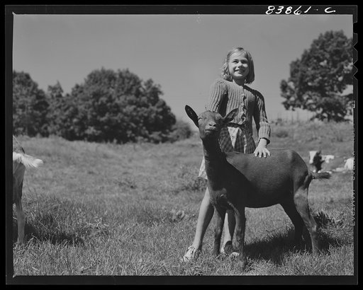 Windsor Locks, Connecticut (vicinity). Daughter of German farmer