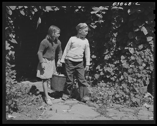 Windsor Locks, Connecticut (vicinity). Children of German farmer doing farm chores