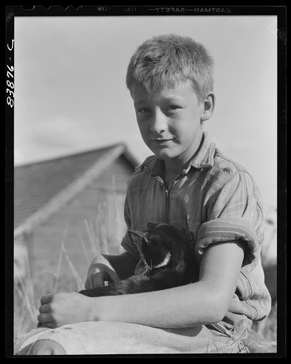 Norwich, Connecticut (vicinity). Son of Swedish farmer