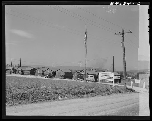 Timberville, Virginia. Blue Ridge FSA (Farm Security Administration) farm labor camp