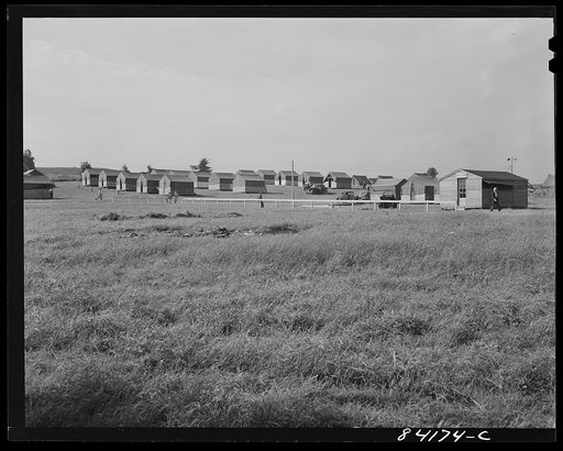 Batavia, New York. Elba FSA (Farm Security Administration) farm. Workers' camp