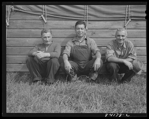 Untitled photo, possibly related to: Batavia, New York. Elba FSA (Farm Security Administration) farm labor camp. Relief clients who were taken off relief and sent to help in the harvest