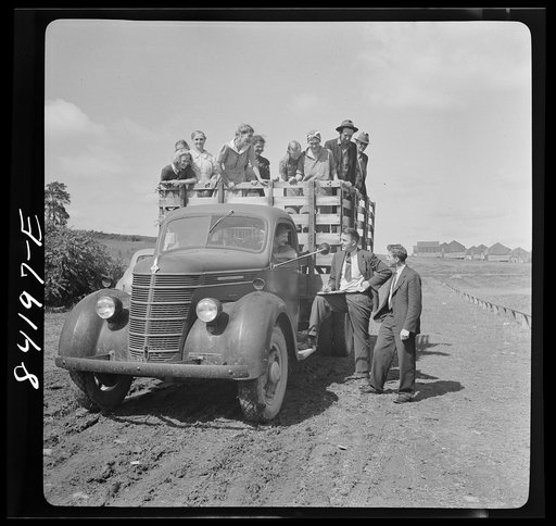 Batavia, New York (vicinity). West Virginia crew of pickers en route to the muck fields