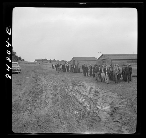 Batavia, New York. Elba FSA (Farm Security Administration) farm labor camp. Migrant waiting for work in front of the United States employment service office