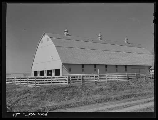 A Witwer dairy and cattle farm. Mr. Witwer also owns a chain of grocery stores. Near Cedar Rapids, Iowa