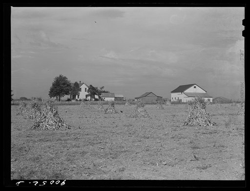 Farm near Dayton, Ohio
