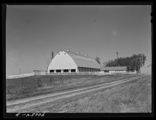 A Witwer dairy and cattle farm. Mr. Witwer also owns a chain of grocery stores. Near Cedar Rapids, Iowa