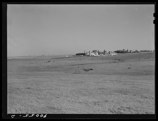 A Witwer dairy and cattle farm. Mr. Witwer also owns a chain of grocery stores. Near Cedar Rapids, Iowa