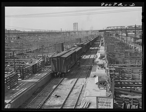 Loading pens for livestock to be shipped in freight cars. Union Stockyards, South Omaha, Nebraska