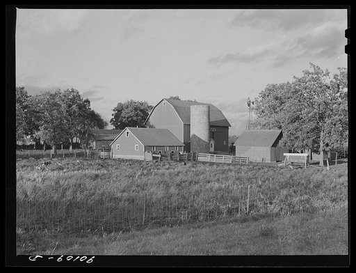 Dairy farm near Waterloo, Iowa