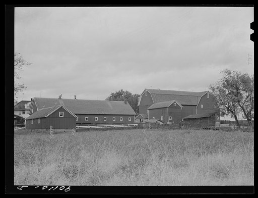 Dairy farm near Waterloo, Iowa