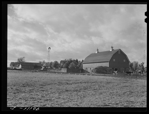 Dairy farm near Waterloo, Iowa