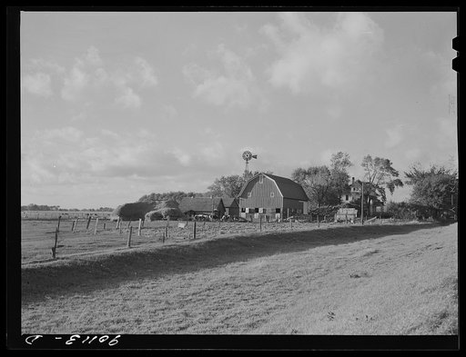 Untitled photo, possibly related to: Dairy farm, near Waterloo, Iowa