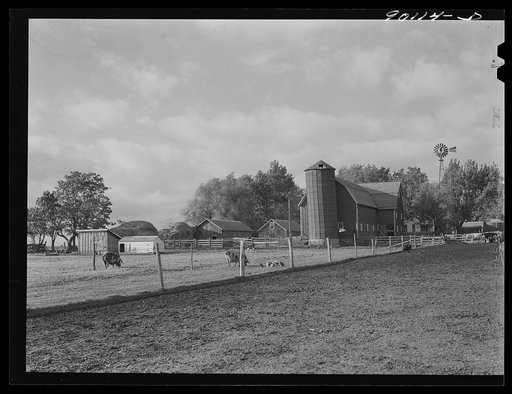 Dairy farm, near Waterloo, Iowa
