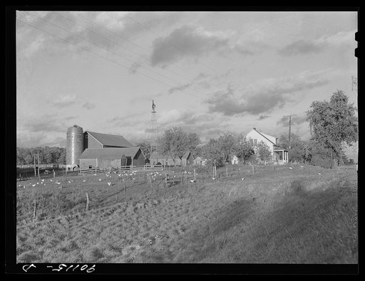 Dairy farm, near Waterloo, Iowa